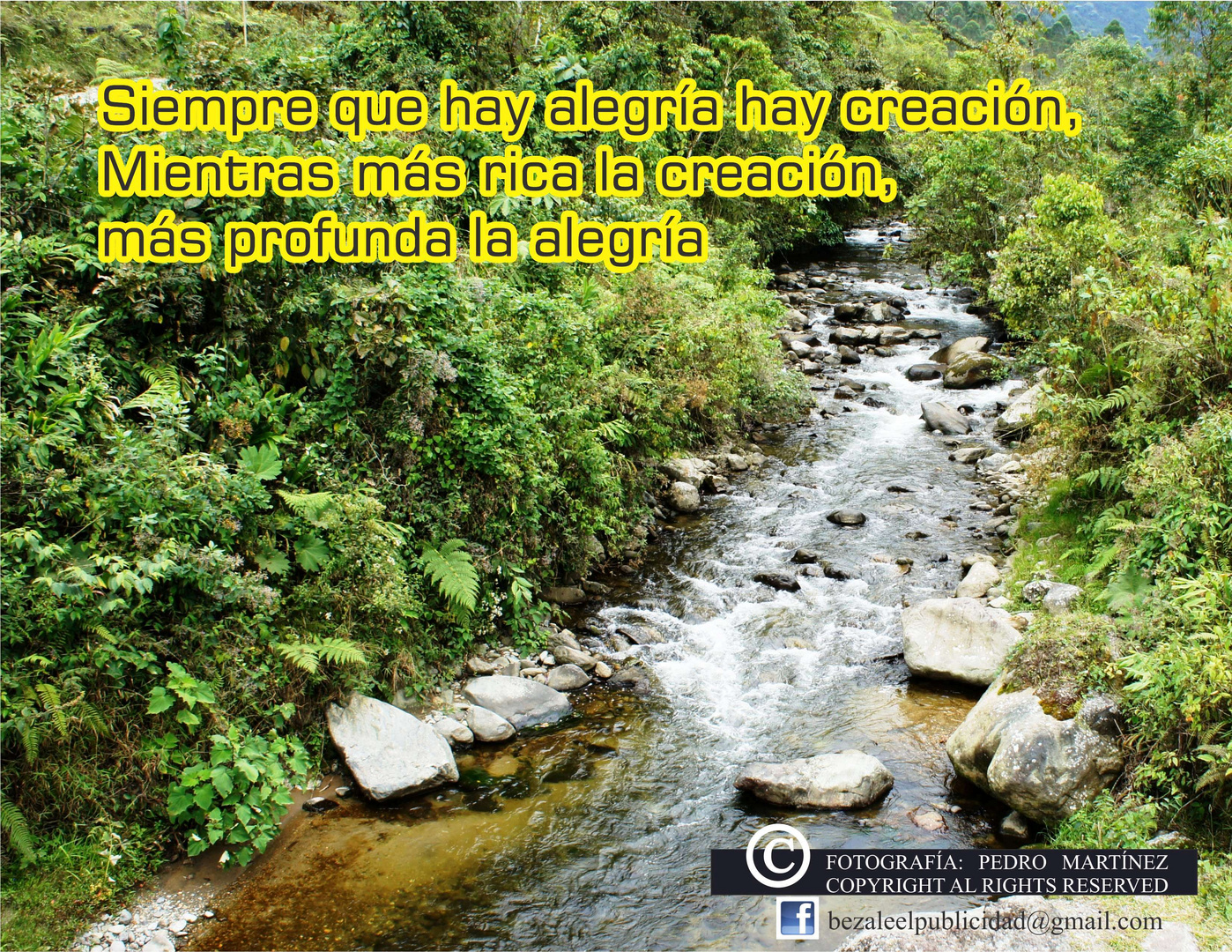 REFLEXIONES DIARIAS 11