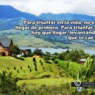 REFLEXIONES DIARIAS 7