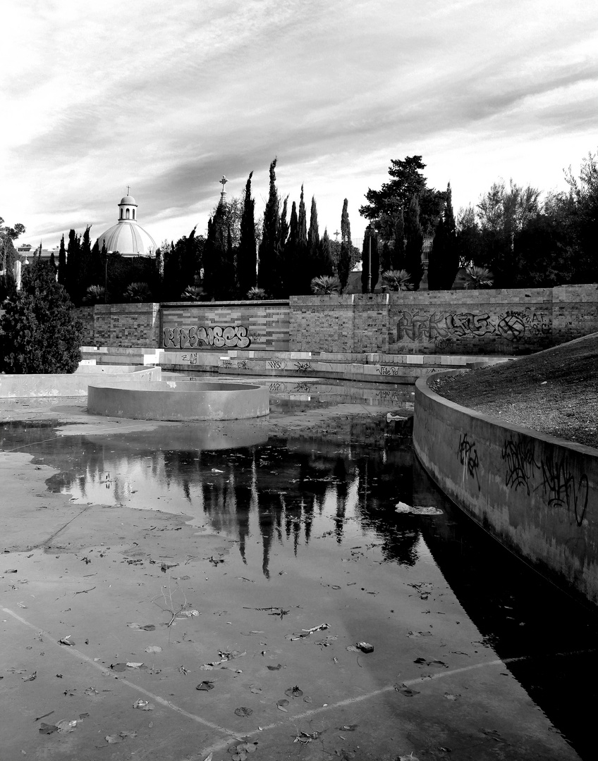 Reflexiones en el parque.