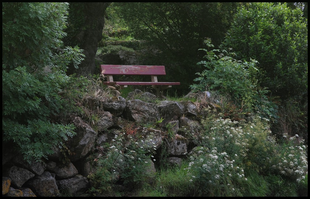 " Reflexions d'automne au mois de juillet "