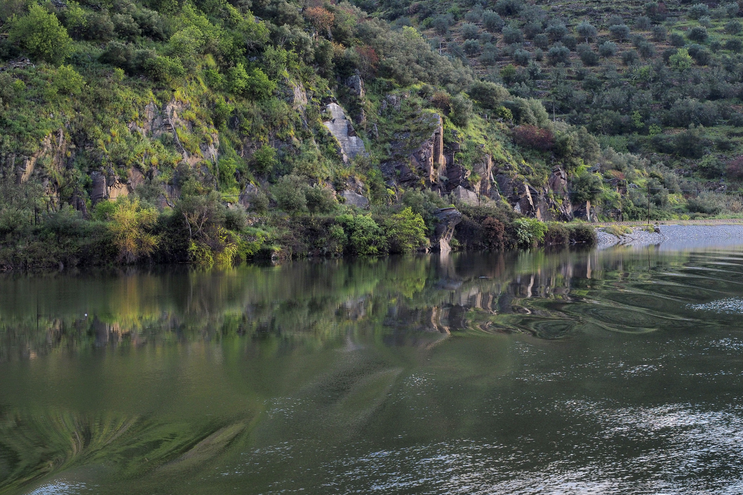 Reflexionslicht am Douro während der Flusskreuzfahrt