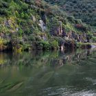 Reflexionslicht am Douro während der Flusskreuzfahrt