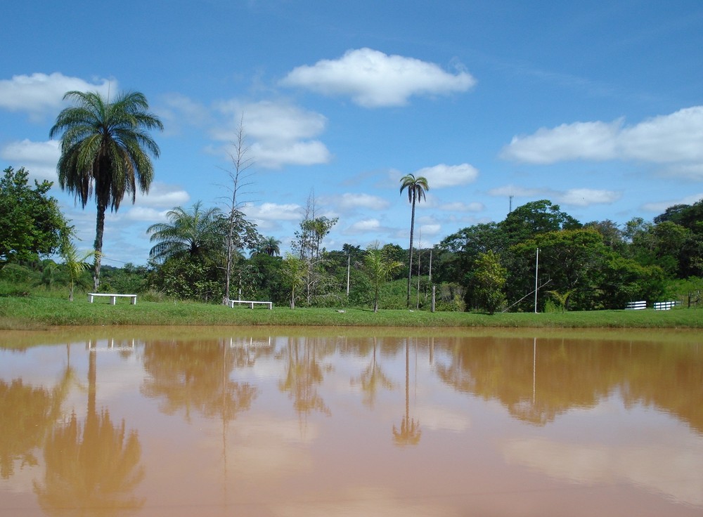 reflexos do coração