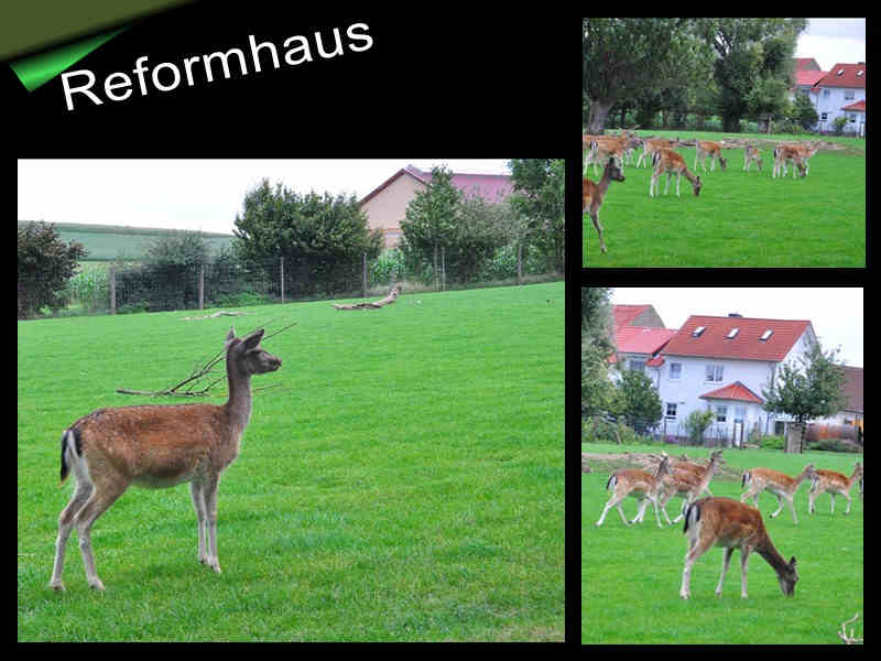 "Reformhaus "