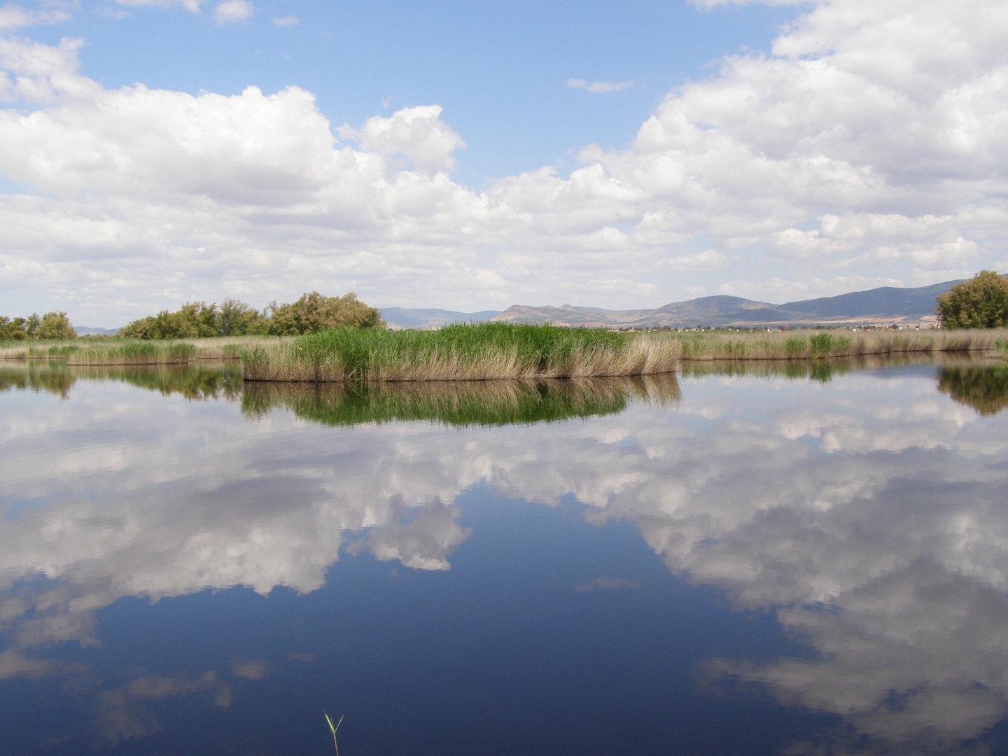 Refrejos