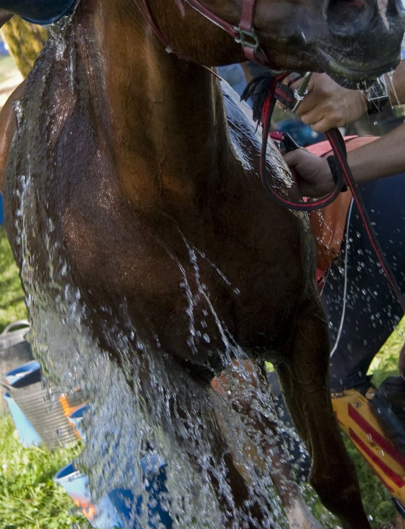 Refrescando al caballo. Raid del Cabrerès 2012