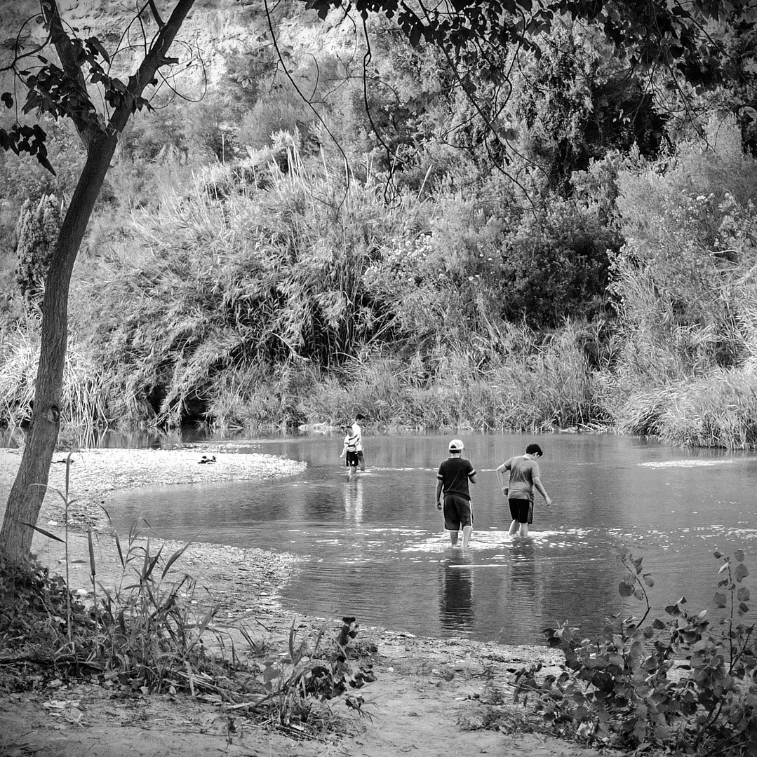 Refrescándose en el río 