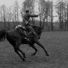 Refreshing Past Times-Polish Cavalry Show