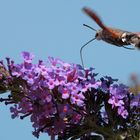 refueling in flight