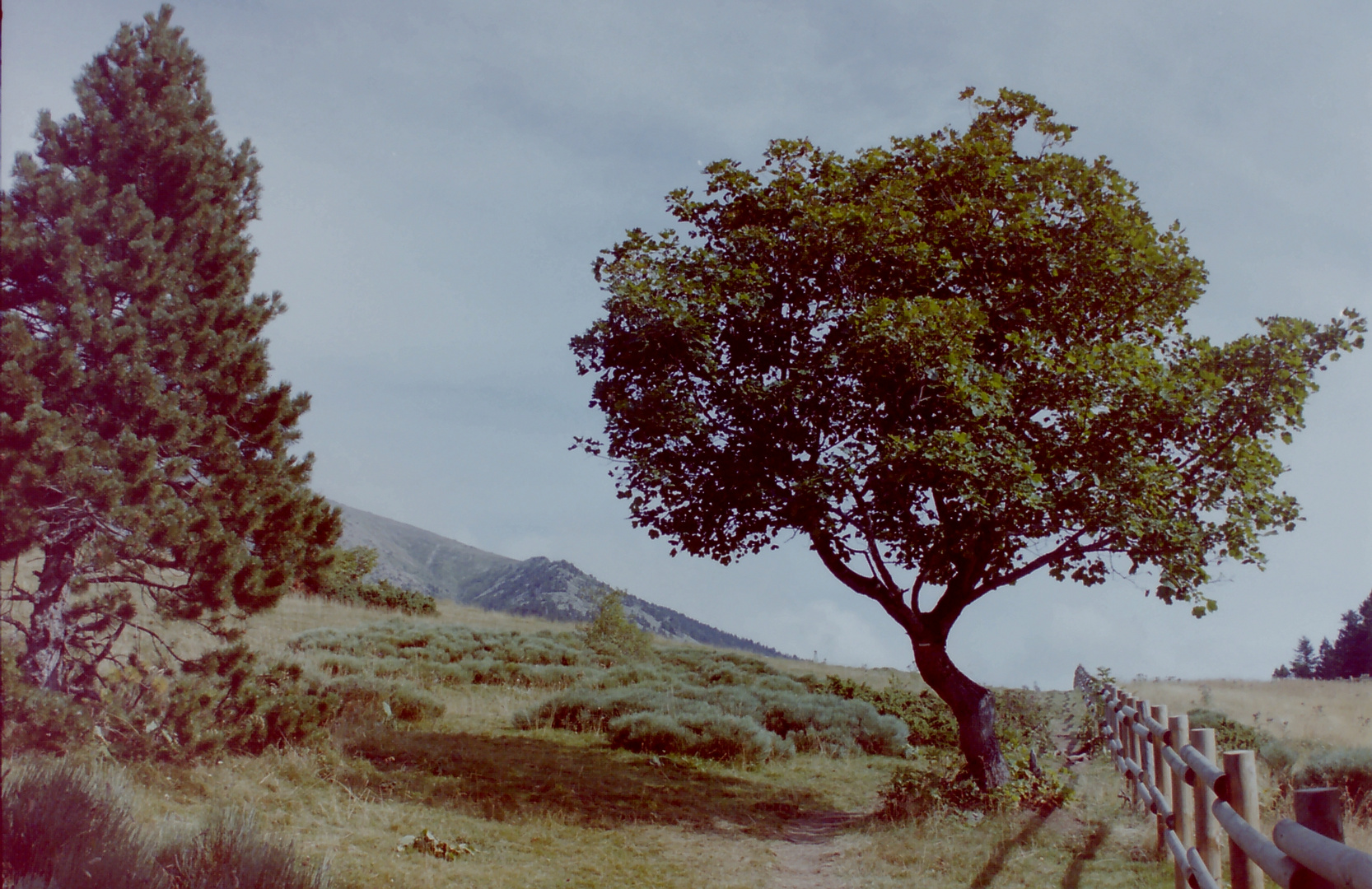 Refuge de Mariailles, Pyrenees Orientales