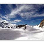 Refuge Lab des Cosmiques