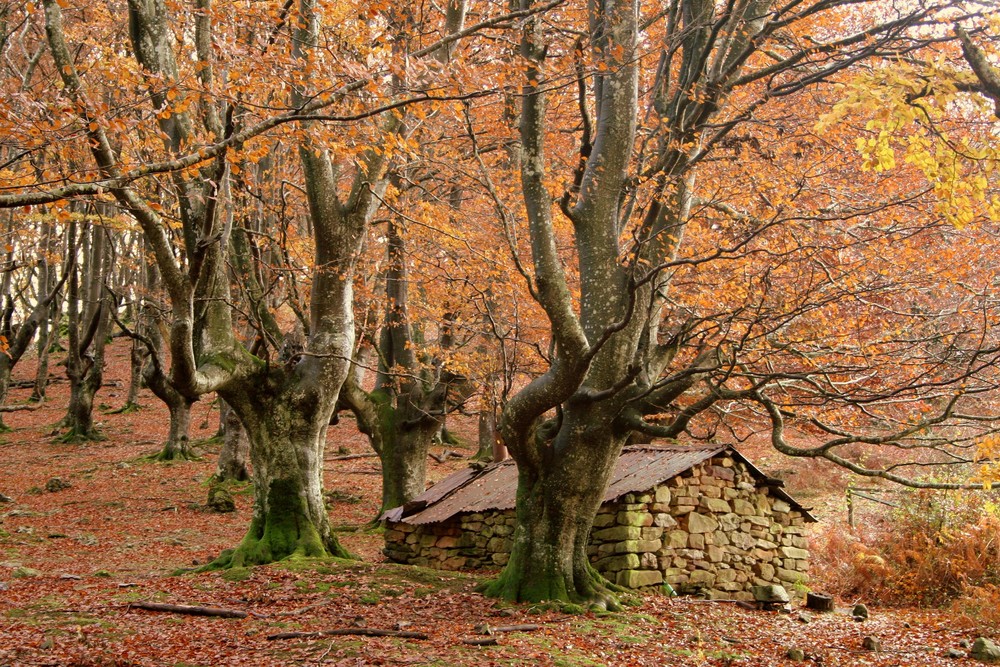 refugio en la montaña