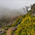 Refugio Pico Ruivo kommt in Sicht