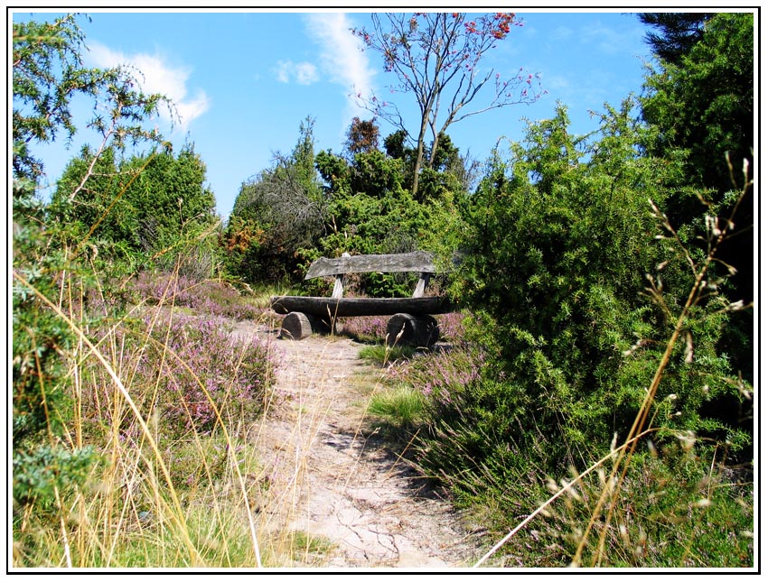 Refugium in der Heide