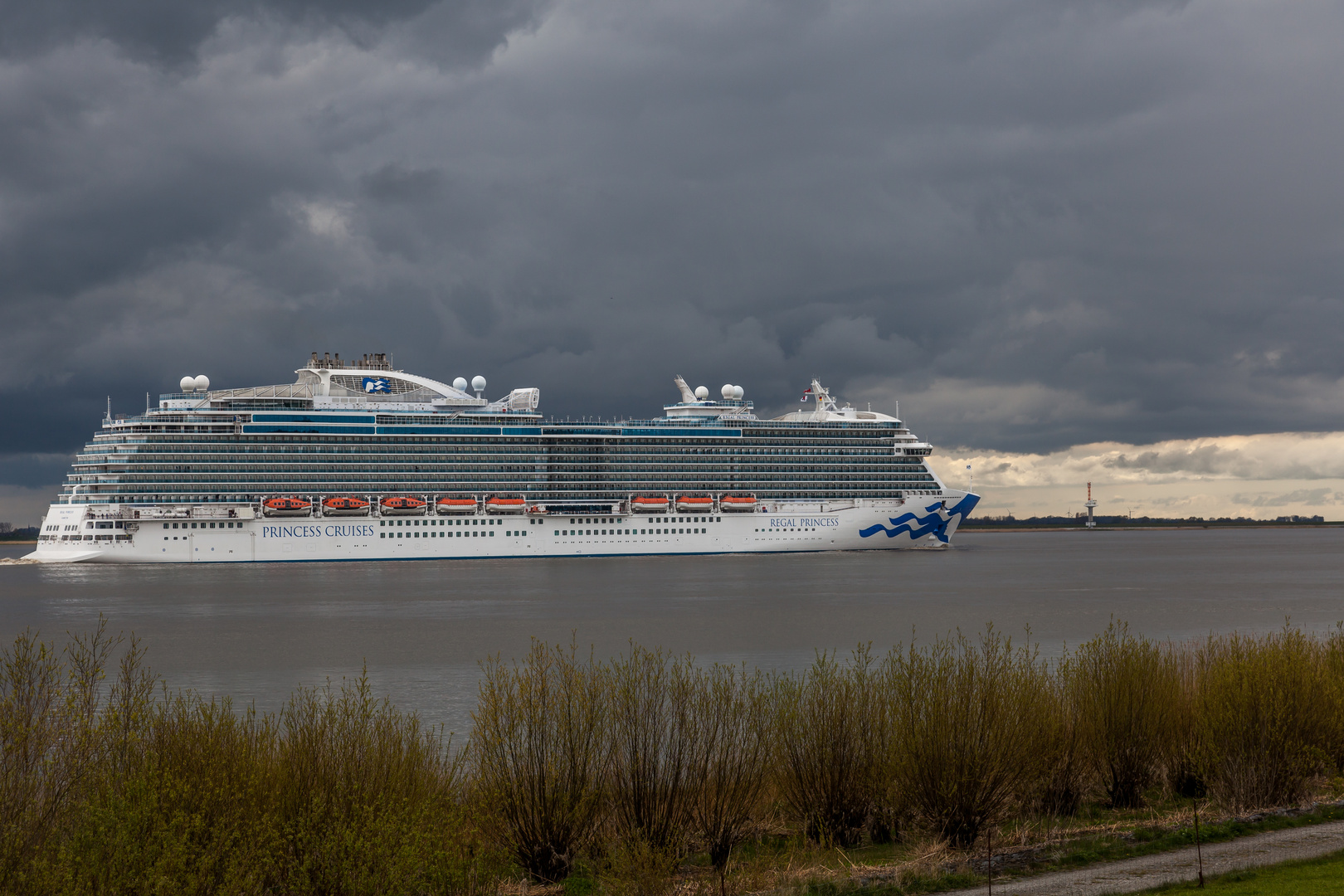 regal princess