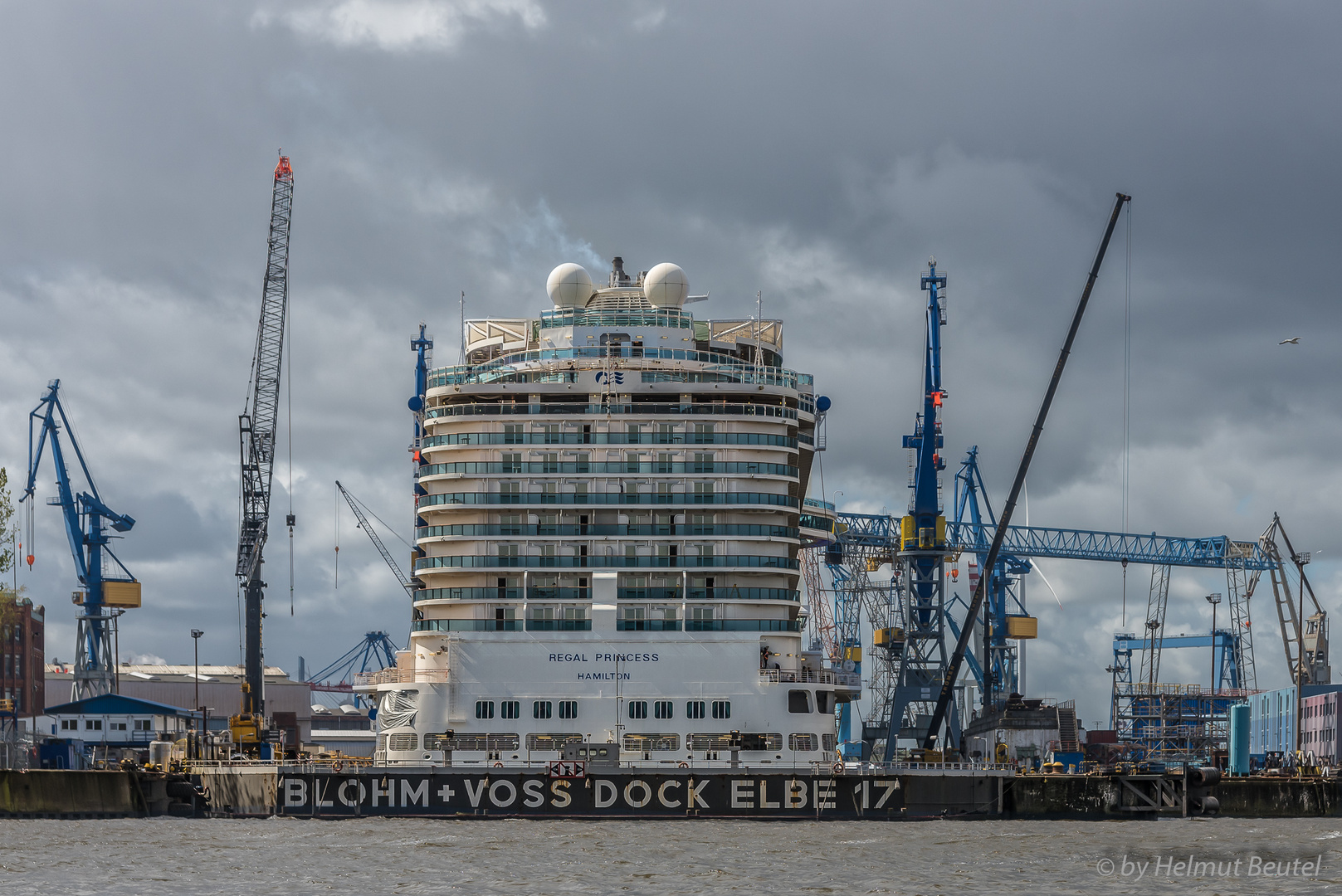 Regal Princess in Dock Elbe 17