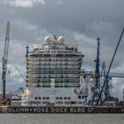 Regal Princess in Dock Elbe 17