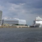 Regal Princess und Hafencity