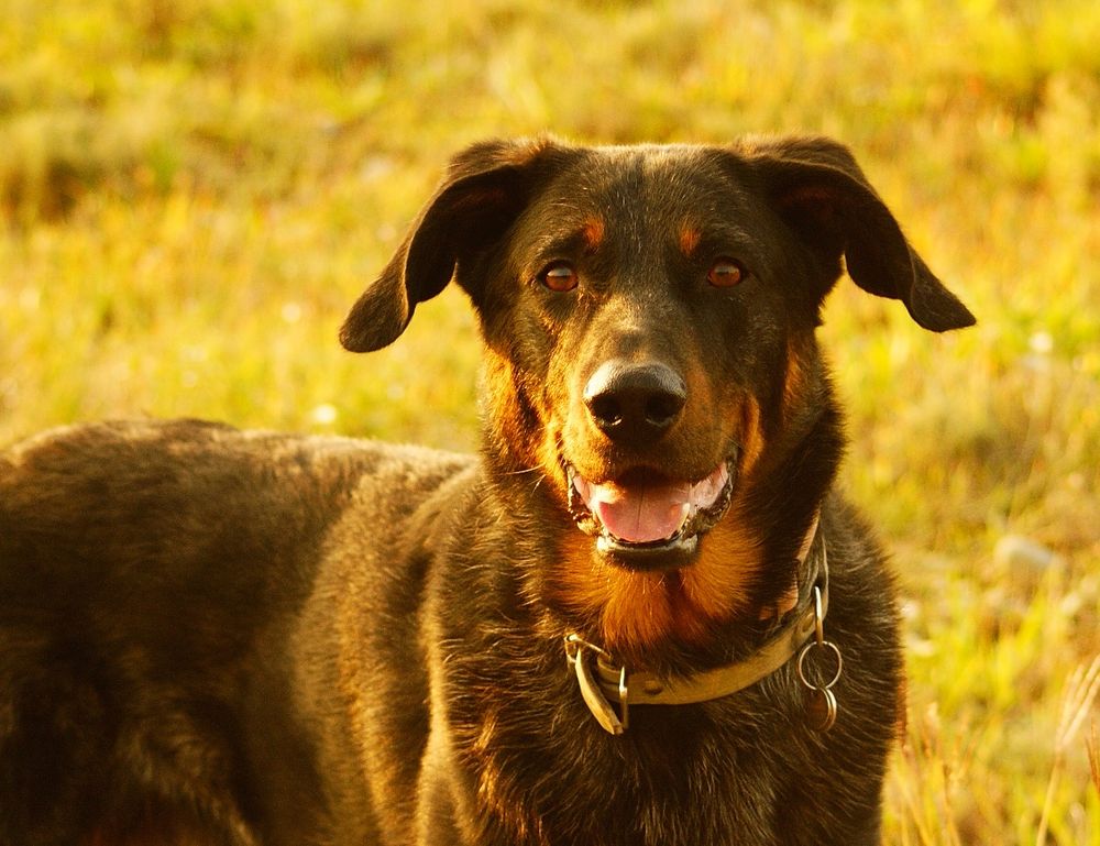 Regard