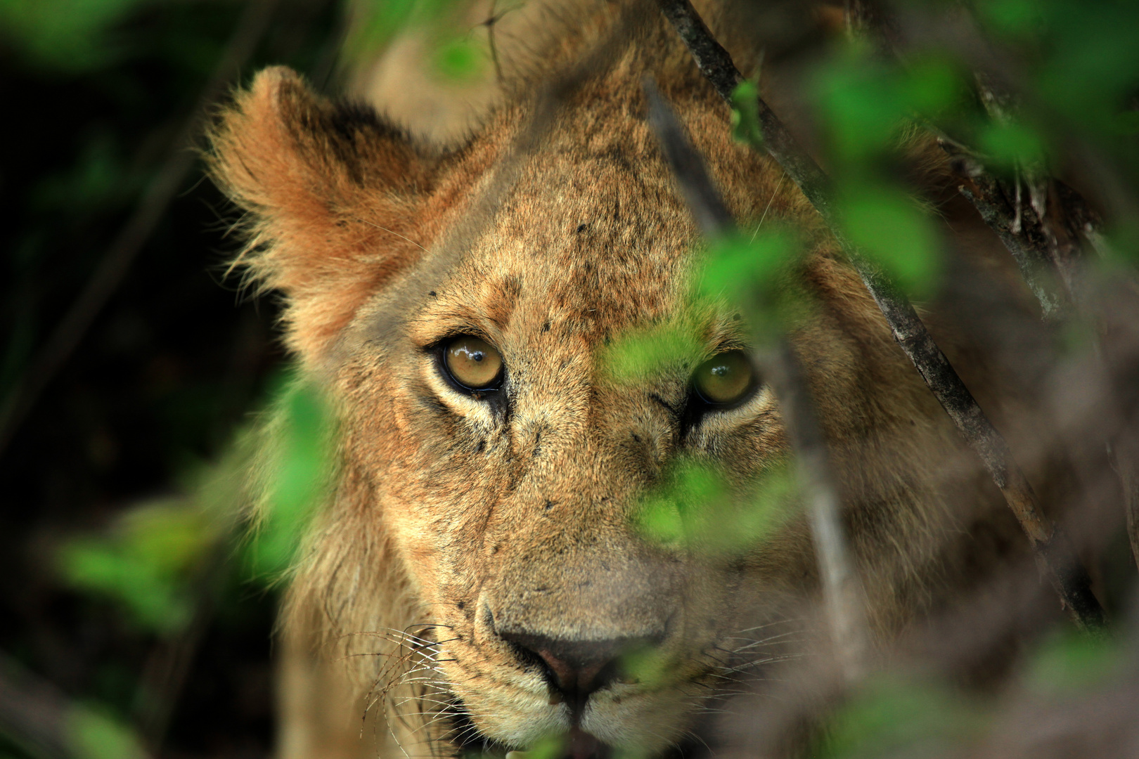 regard