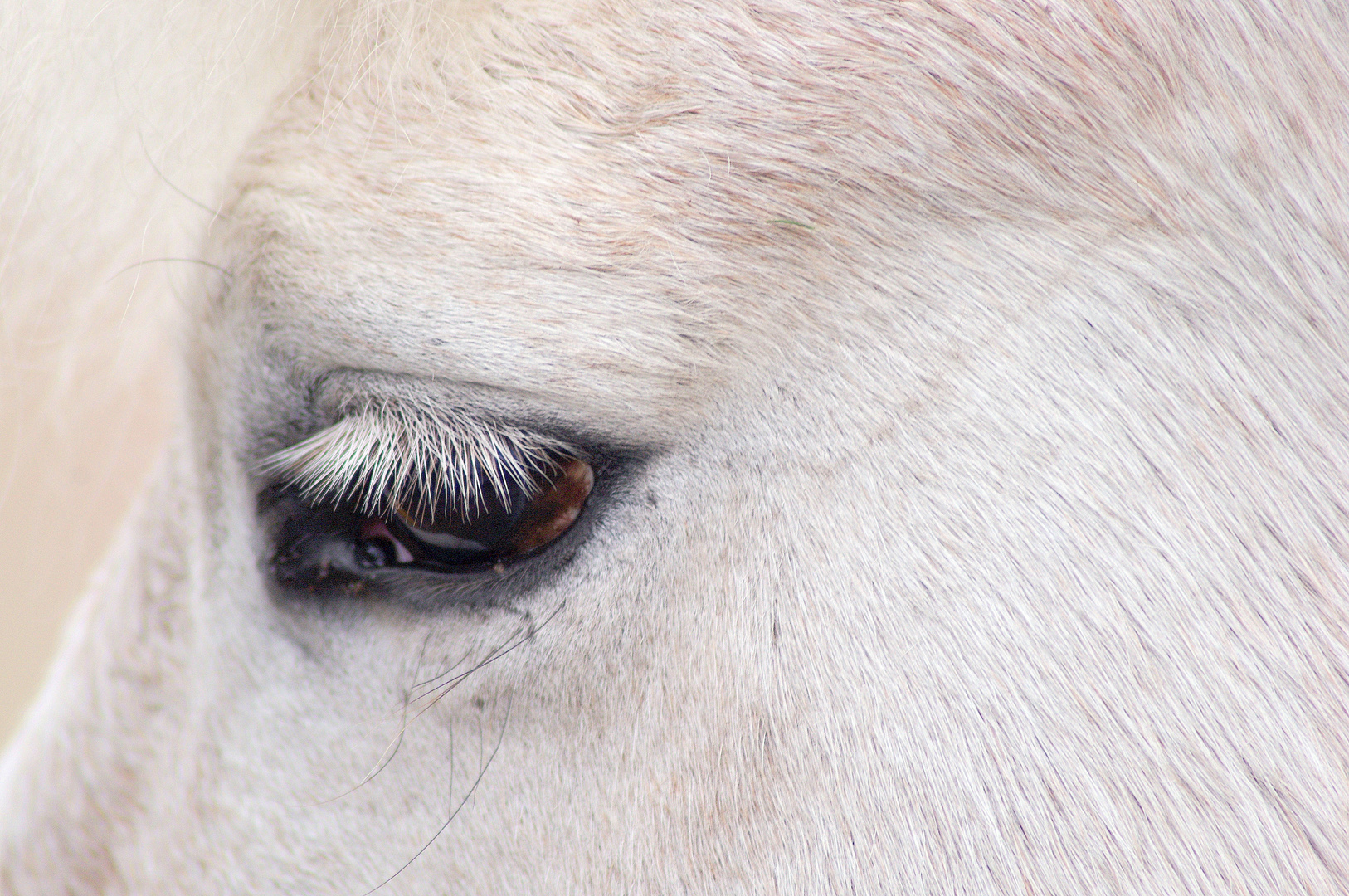 regard ....