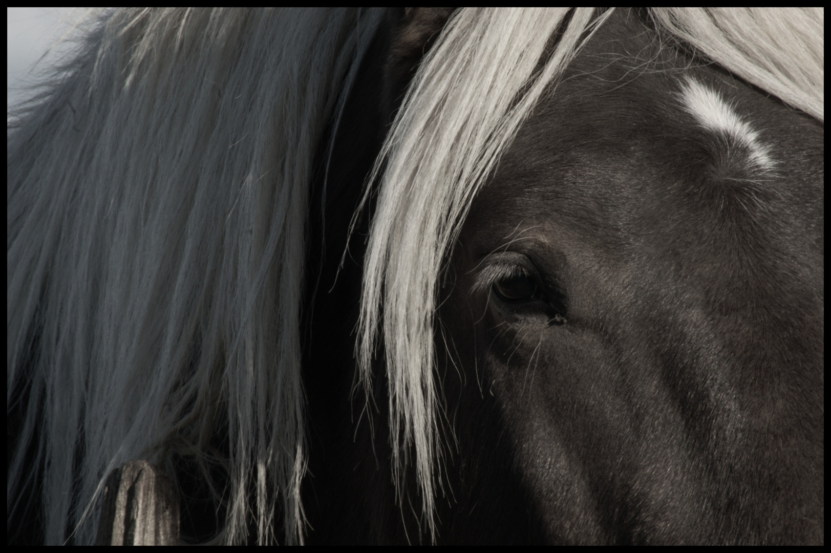 Regard de braise