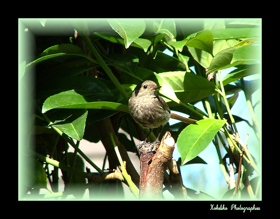 Regard