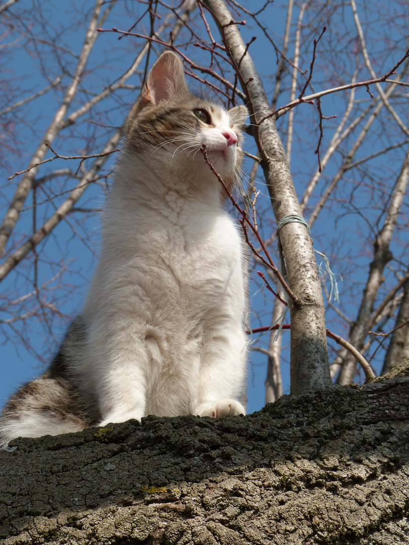 Regard loin devant