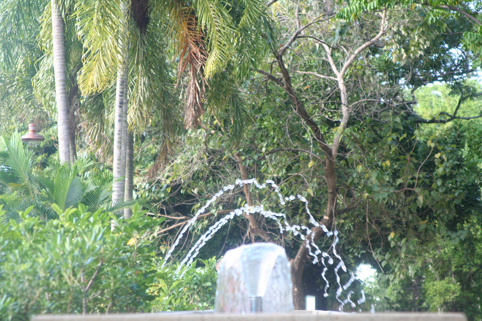 REGARD... ou la légèreté de l'eau