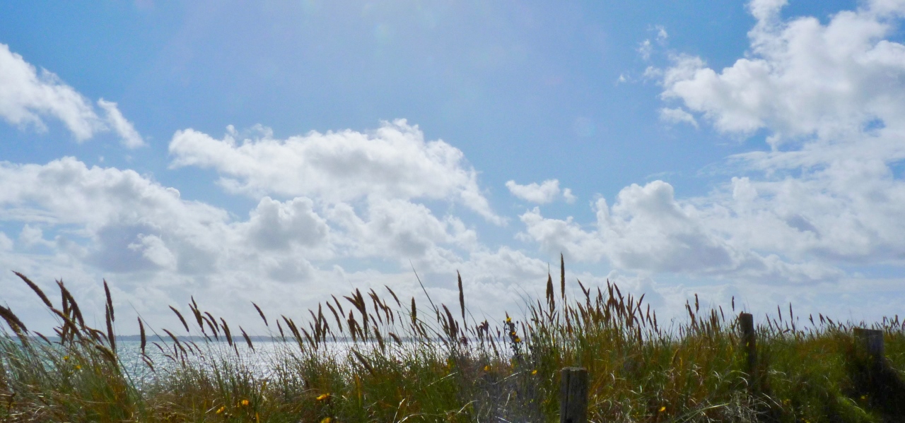 Regard sur le bord de mer