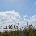 Regard sur le bord de mer