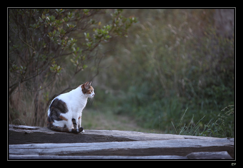 Regard sur le passé ...