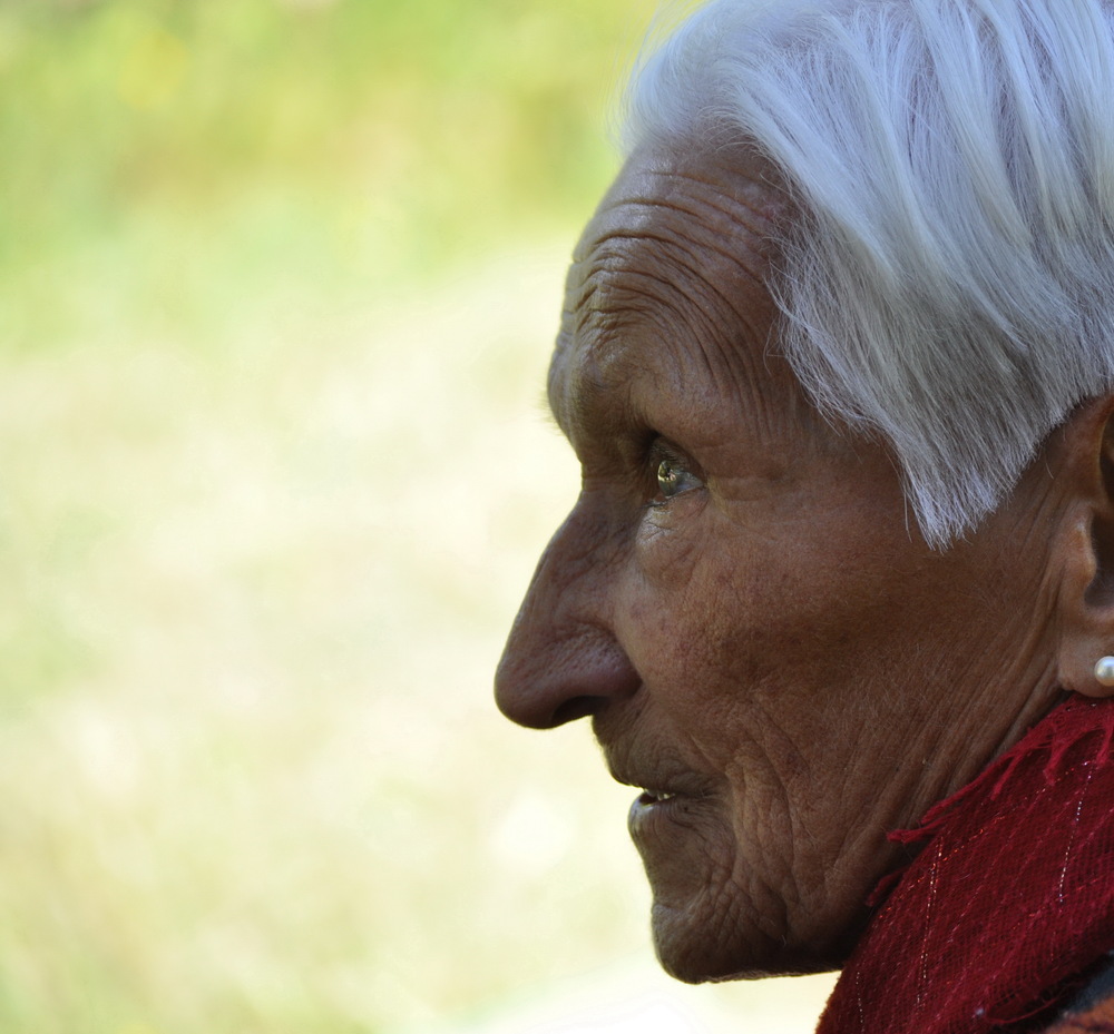 Regard sur le passé