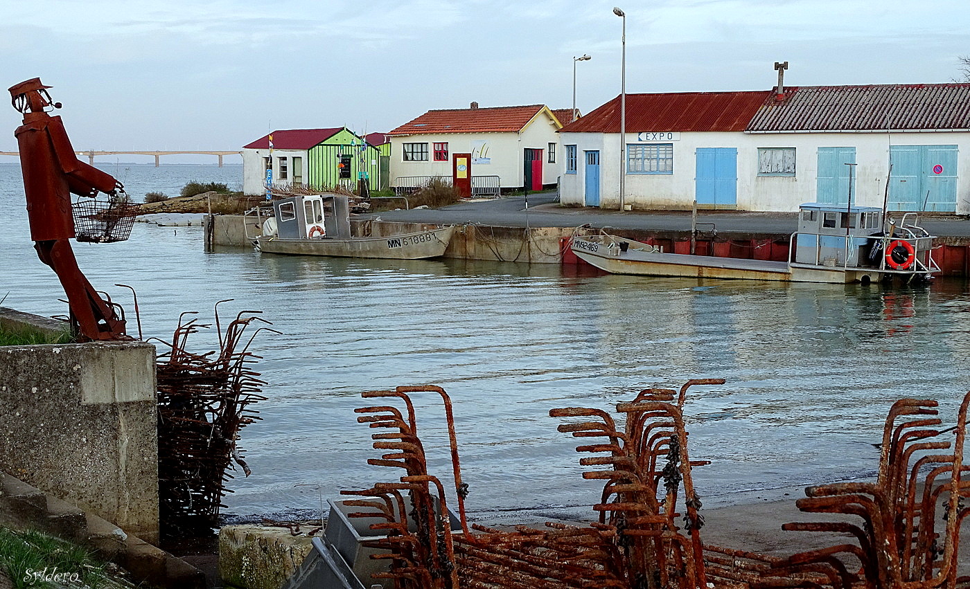 Regard sur l'entrée du port