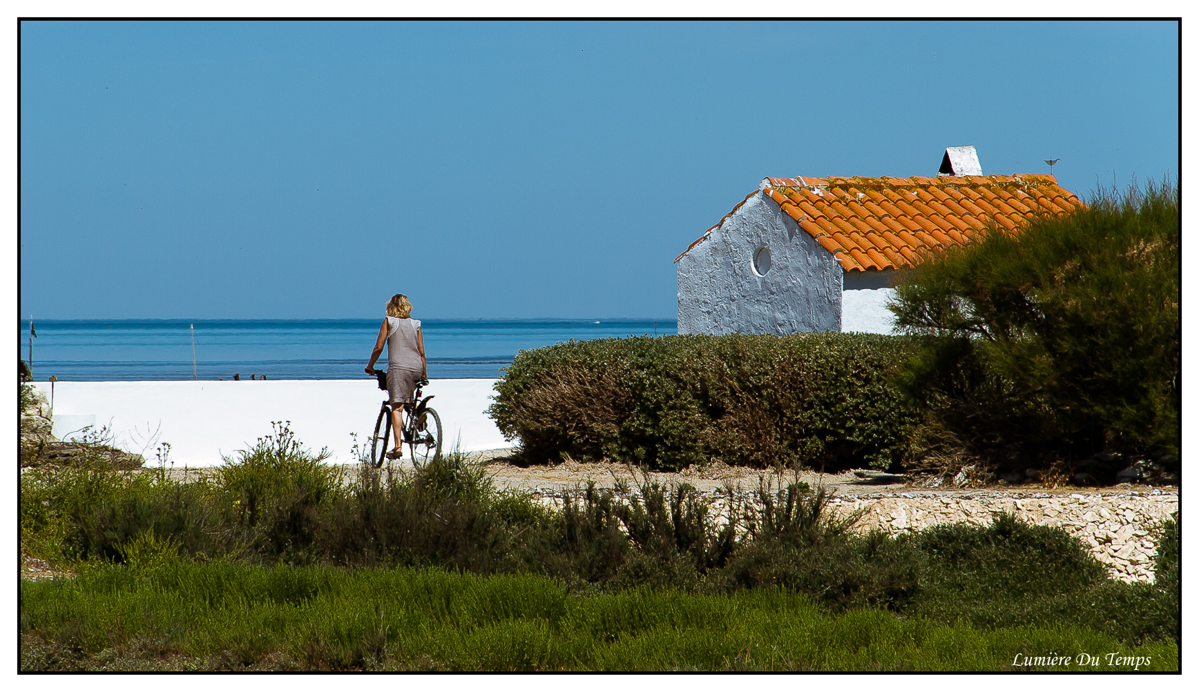 Regard Sur L'Estran