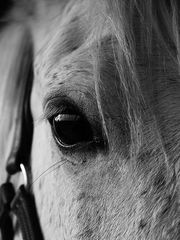 Regard ténébreux