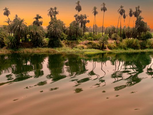 Regard vague sur le nil
