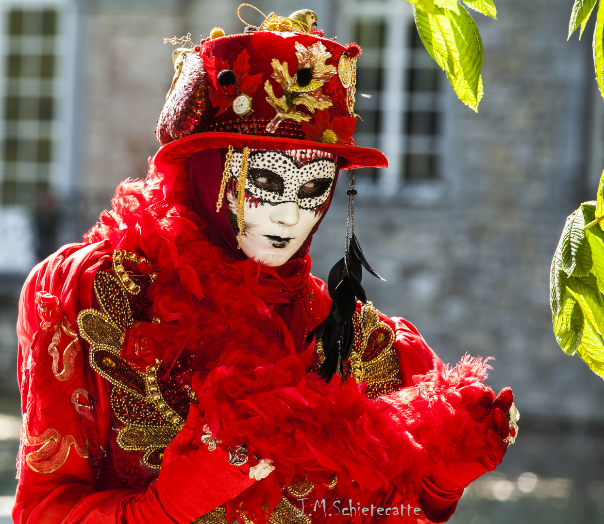 Regard vénitien 6