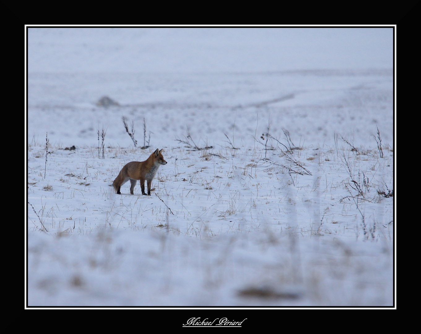 regard vers l horizon