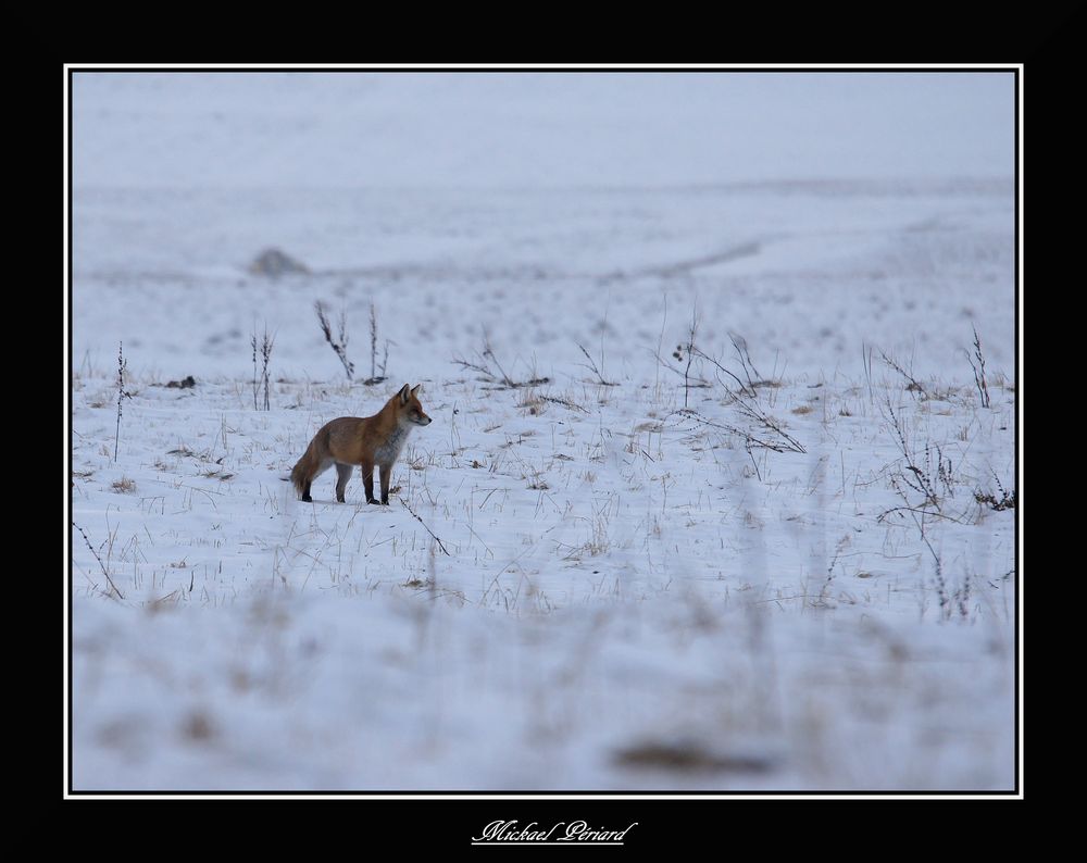 regard vers l horizon