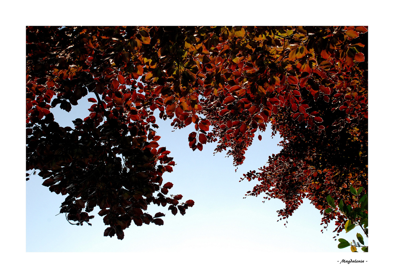 Regard vers le ciel