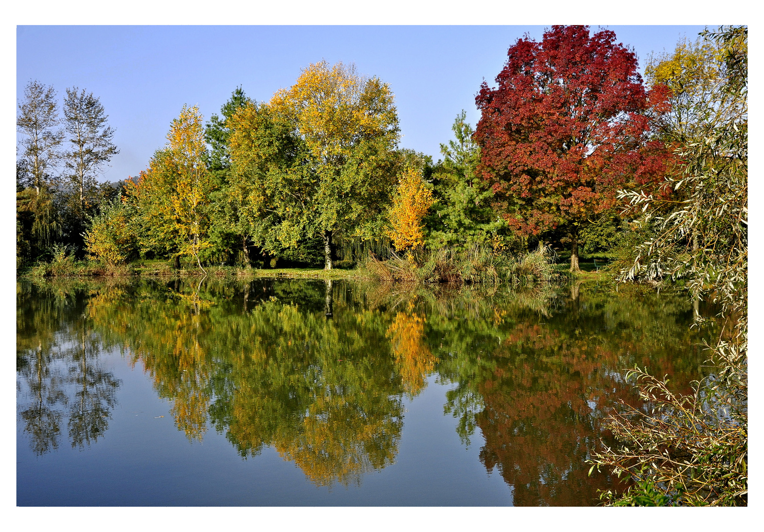 ...............REGARD....D AUTOMNE..............