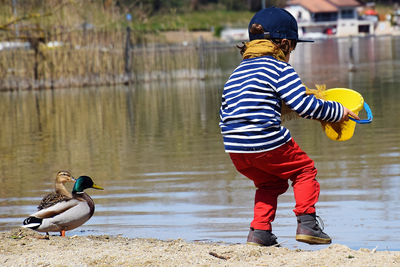 Regarde il nous fait la danse des canards.......