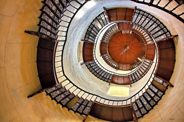 regarder vers le haut, tout en haut