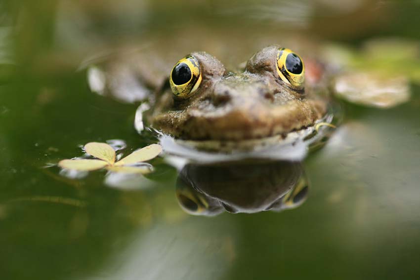 regarge moi dans les yeux ............