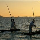 Regata dei Fassonis - Santa Giusta (OR) - Sardegna