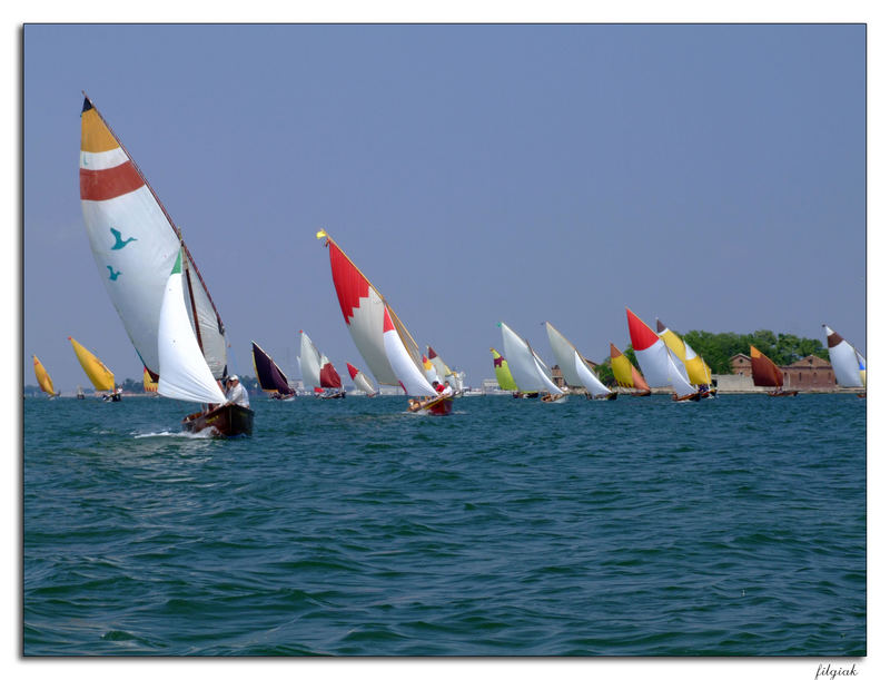 Regata di Vela al Terzo in Laguna