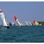 Regata di Vela al Terzo in Laguna