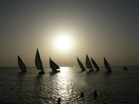 régate à la tombée de la nuit (îles Kerkennah, Tunisie)