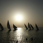 régate à la tombée de la nuit (îles Kerkennah, Tunisie)